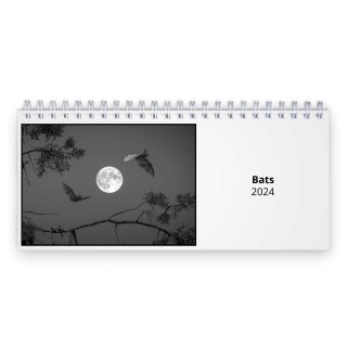 Bats 2024 Desk Calendar