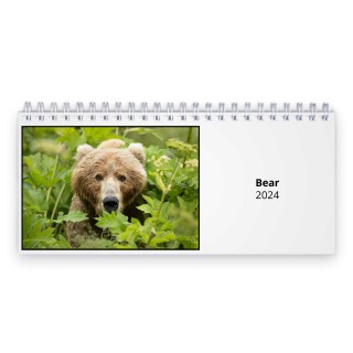 Bear 2024 Desk Calendar