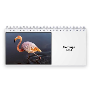 Flamingo 2024 Desk Calendar