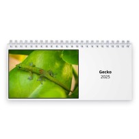 Gecko 2024 Desk Calendar