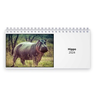 Hippo 2024 Desk Calendar