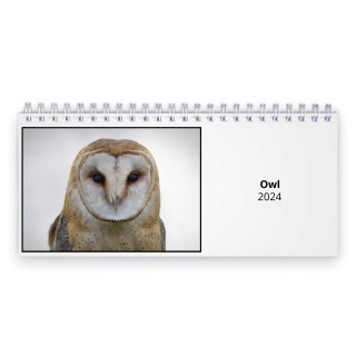 Owl 2024 Desk Calendar