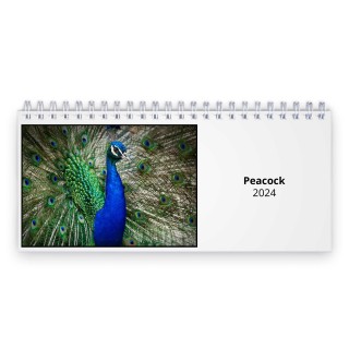 Peacock 2024 Desk Calendar