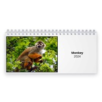 Monkey 2024 Desk Calendar