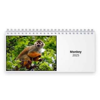 Monkey 2024 Desk Calendar