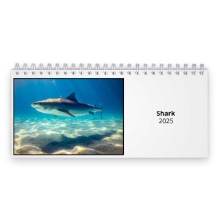 Shark 2024 Desk Calendar