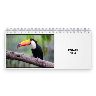 Toucan 2024 Desk Calendar