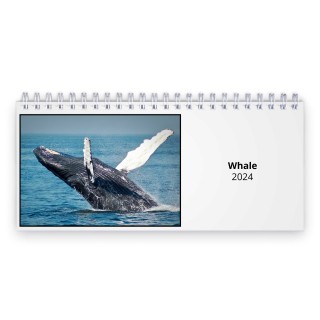 Whale 2024 Desk Calendar