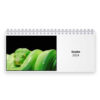 Snake 2024 Desk Calendar