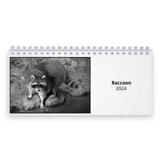 Raccoon 2024 Desk Calendar