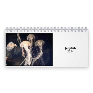 Jellyfish 2024 Desk Calendar