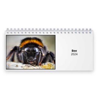 Bee 2024 Desk Calendar