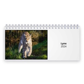 Lynx 2024 Desk Calendar