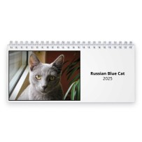 Russian Blue Cat 2024 Desk Calendar