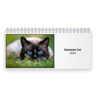 Siamese Cat 2024 Desk Calendar