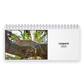 Leopard 2024 Desk Calendar