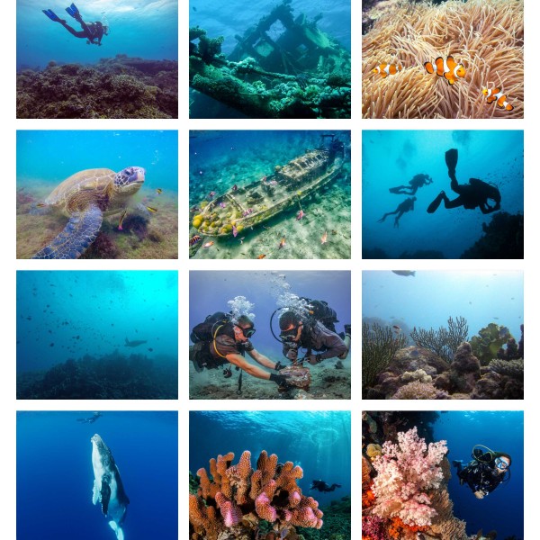 Subaquatic Voyage (Tome I)