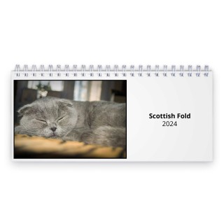 Scottish Fold 2024 Desk Calendar