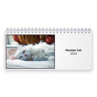 Persian Cat 2024 Desk Calendar