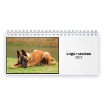 Belgisk Malinois 2024 Skrivebordskalender