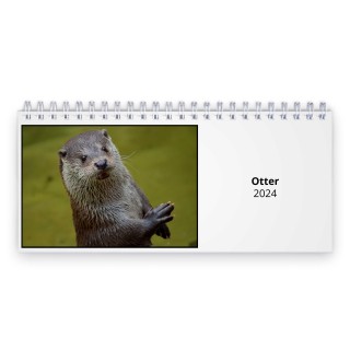 Otter 2024 Desk Calendar