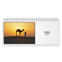 Camel 2024 Desk Calendar