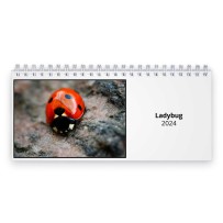 Ladybug 2024 Desk Calendar