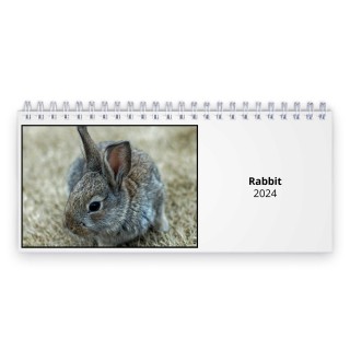 Rabbit 2024 Desk Calendar