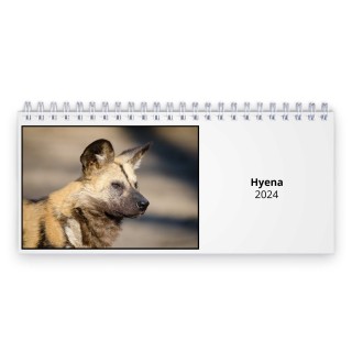 Hyena 2024 Desk Calendar