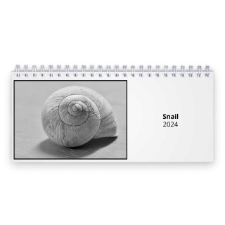 Snail 2024 Desk Calendar
