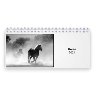 Horse 2024 Desk Calendar