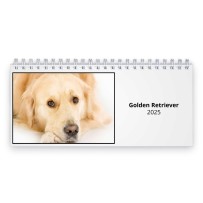 Golden Retriever 2024 Desk Calendar