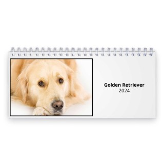 Golden Retriever 2024 Desk Calendar