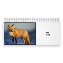 Fox 2024 Desk Calendar