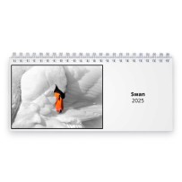 Swan 2024 Desk Calendar