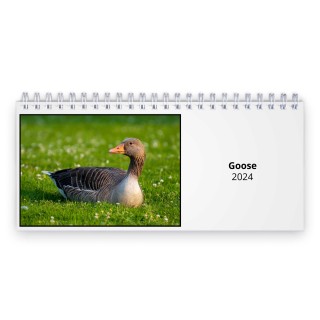 Goose 2024 Desk Calendar