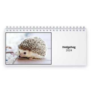 Hedgehog 2024 Desk Calendar
