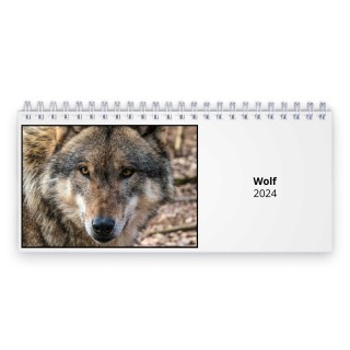 Wolf 2024 Desk Calendar
