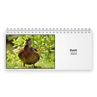 Duck 2024 Desk Calendar