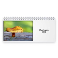 Mushroom 2024 Desk Calendar