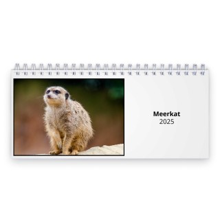 Meerkat 2024 Desk Calendar