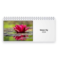 Water lily 2024 Desk Calendar