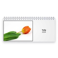 Tulip 2024 Desk Calendar