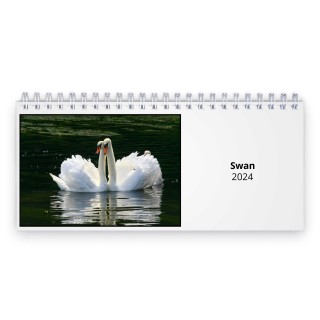 Swan 2024 Desk Calendar