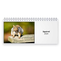 Squirrel 2024 Desk Calendar
