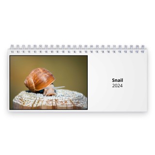 Snail 2024 Desk Calendar