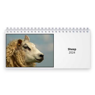 Sheep 2024 Desk Calendar