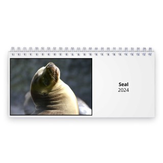 Seal 2024 Desk Calendar