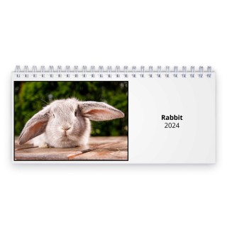 Rabbit 2024 Desk Calendar