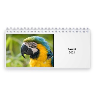 Parrot 2024 Desk Calendar